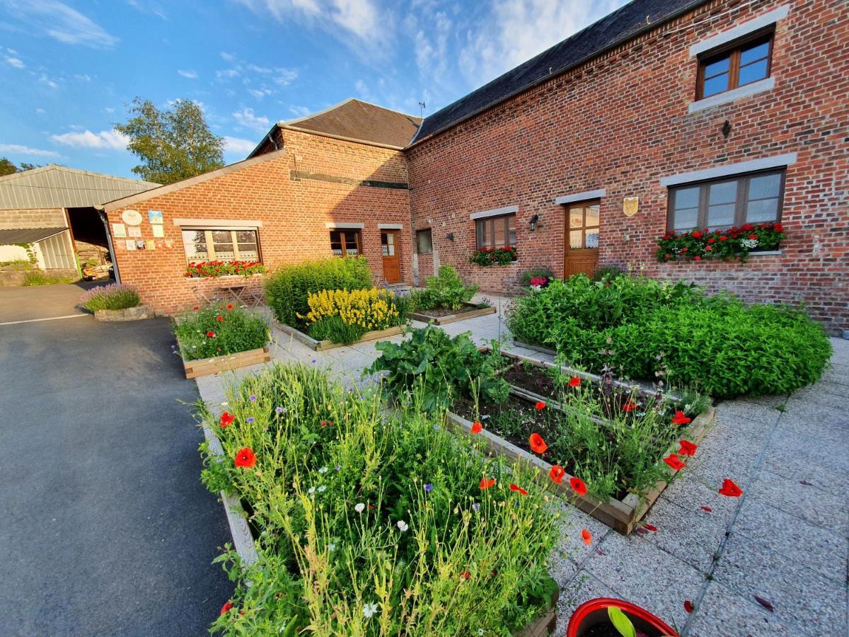 Les Mout'Anes Bed & Breakfast Saint-Hilaire-sur-Helpe Exterior photo