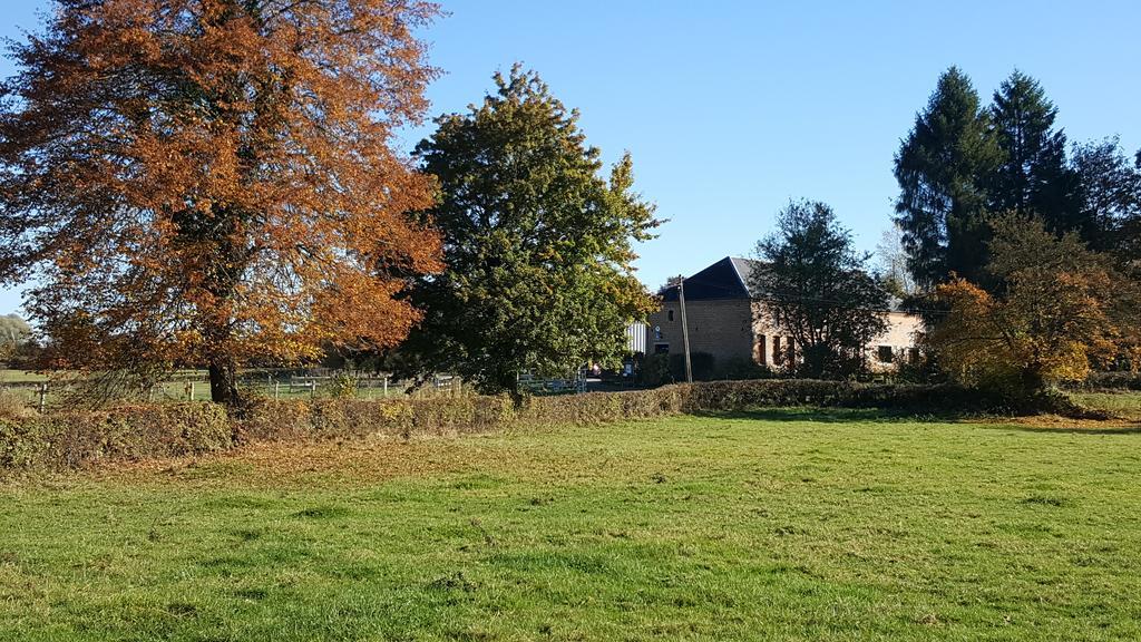 Les Mout'Anes Bed & Breakfast Saint-Hilaire-sur-Helpe Exterior photo